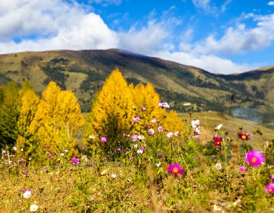 欣赏沿途风景的句子尽在北京国际旅游摄影网(图1)