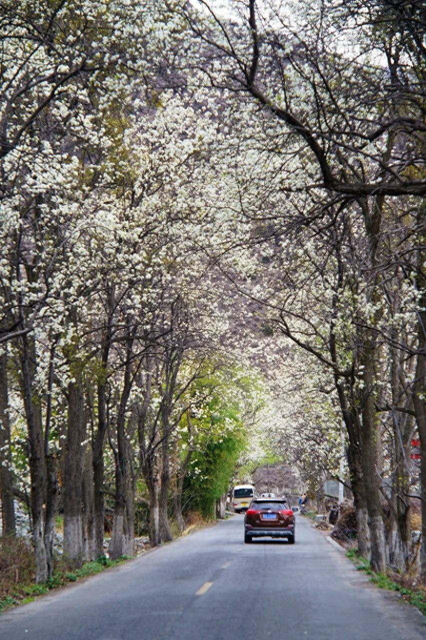 9条绝色风景线收纳美景无数，待春暖花开，挑1条自由驰骋(图4)