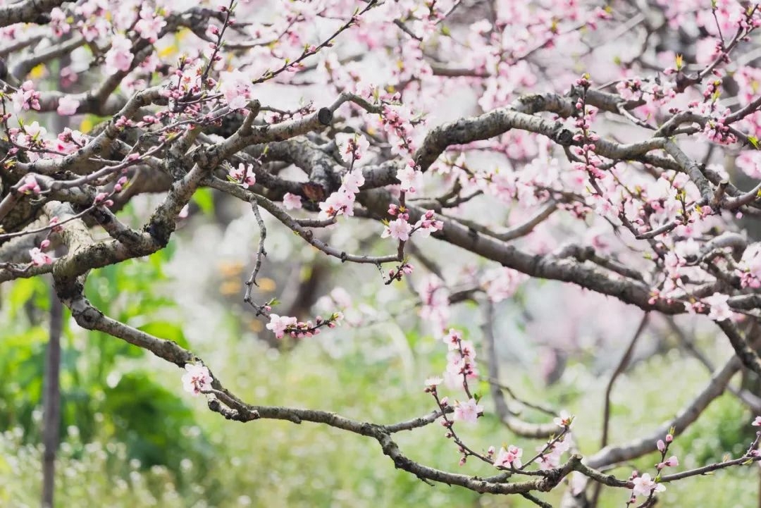 9条绝色风景线收纳美景无数,待春暖花开,挑1条自由驰骋(图6) 9条绝色风景线收纳美景无数,待春暖花开,挑1条自由驰骋(图6)