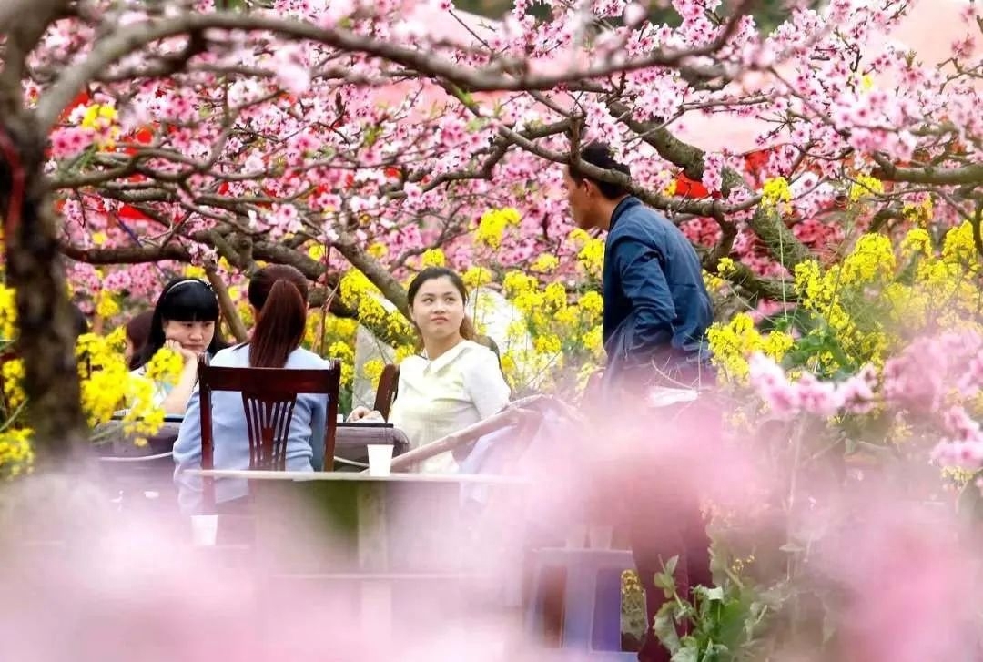 9条绝色风景线收纳美景无数，待春暖花开，挑1条自由驰骋(图7)