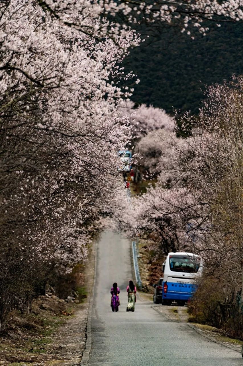 9条绝色风景线收纳美景无数，待春暖花开，挑1条自由驰骋(图13)
