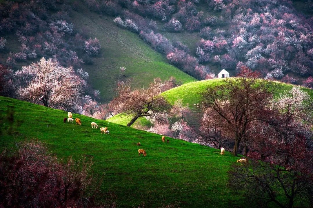 9条绝色风景线收纳美景无数，待春暖花开，挑1条自由驰骋(图18)