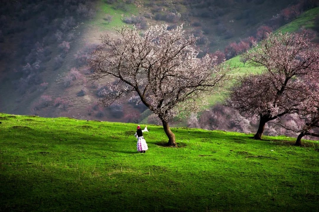 9条绝色风景线收纳美景无数，待春暖花开，挑1条自由驰骋(图19)