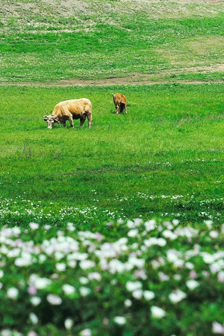9条绝色风景线收纳美景无数，待春暖花开，挑1条自由驰骋(图22)