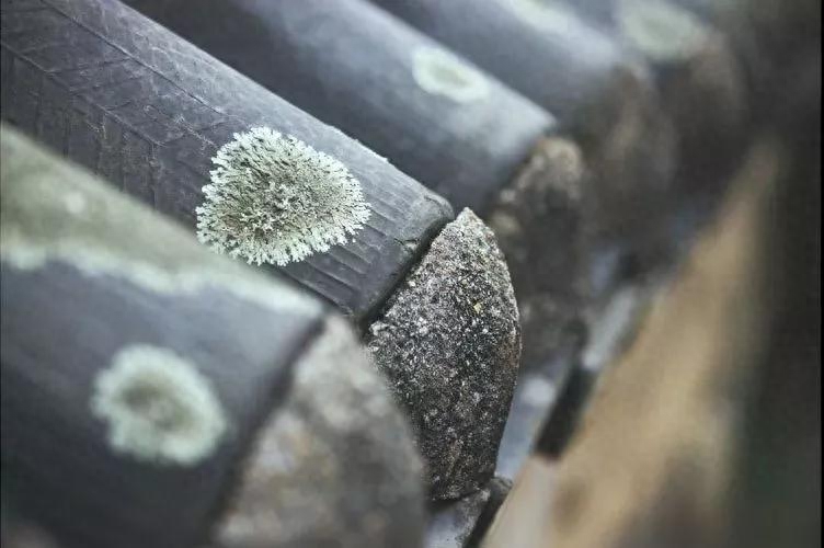 人生格言，与君共勉(图4)