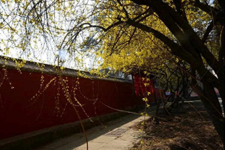 人生格言，与君共勉(图5)