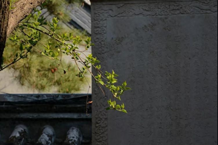 人生格言，与君共勉(图6)