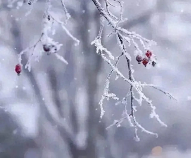 古人150条经典名言，字字珠玑，与君共勉(图6)