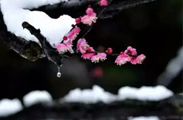 古人150条经典名言，字字珠玑，与君共勉(图7)