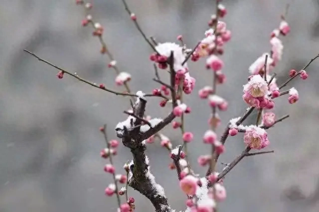 古人150条经典名言，字字珠玑，与君共勉(图8)