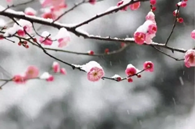 古人150条经典名言，字字珠玑，与君共勉(图9)