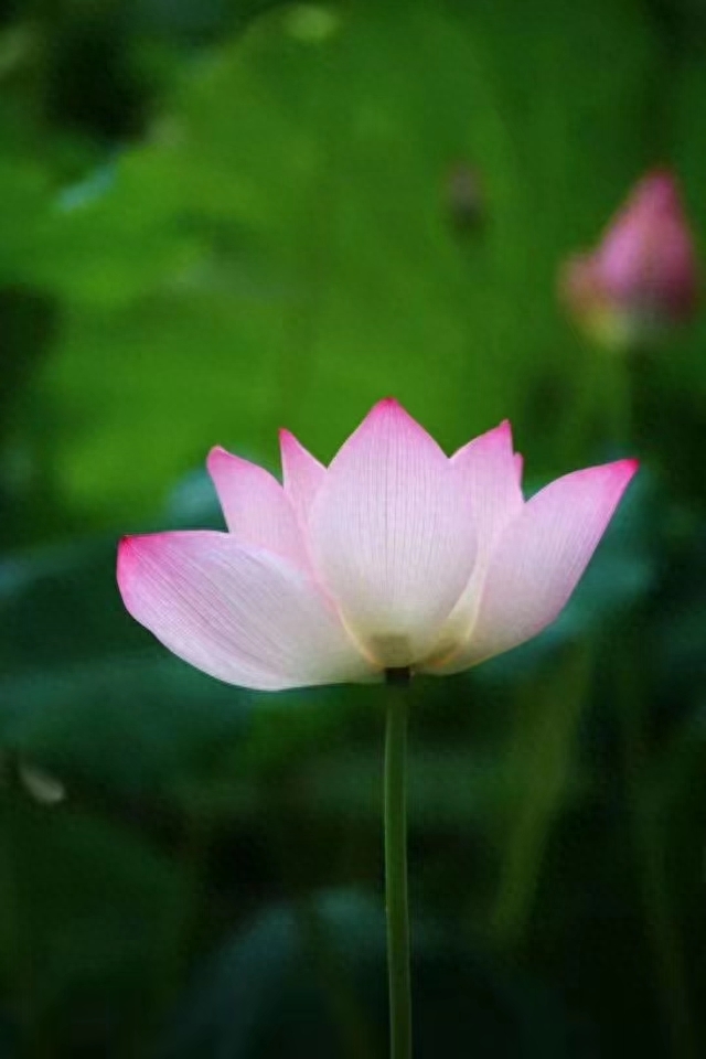 古人150条经典名言，字字珠玑，与君共勉(图11)