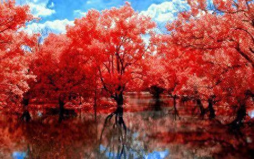 青春由磨砺而出彩，人生因奋斗而升华(图1)