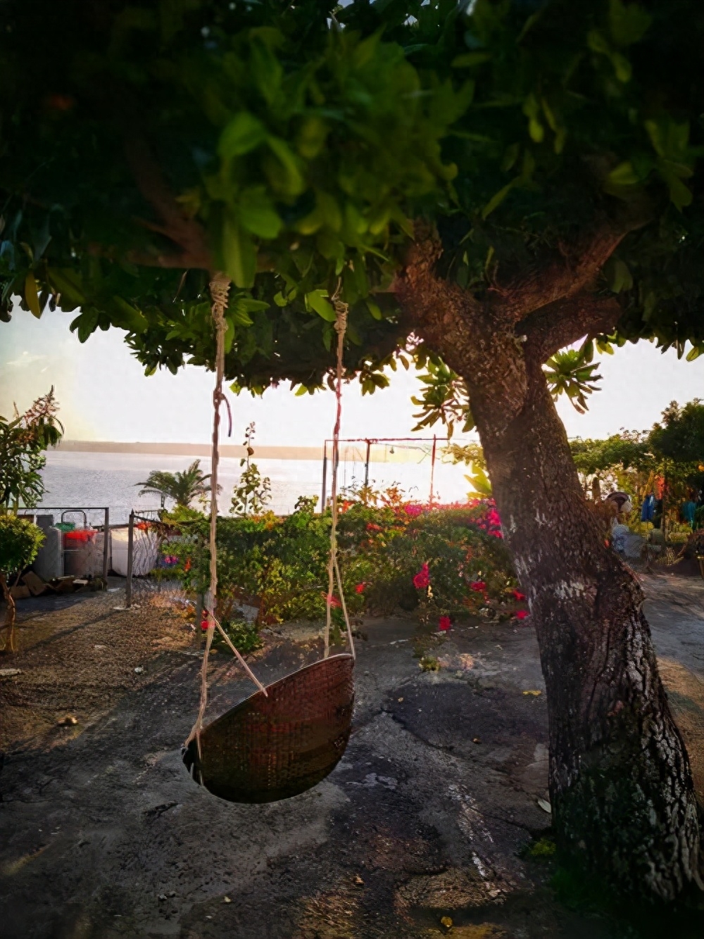 唯美景与秋千不可辜负，令人向往的秋千时光(图13)