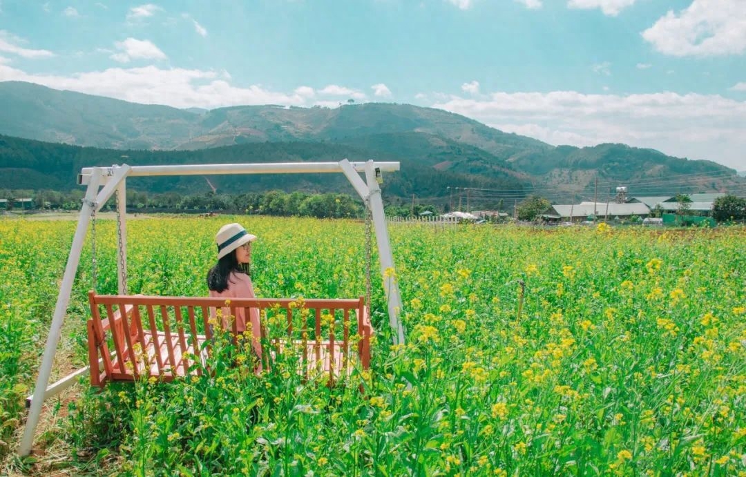 唯美景与秋千不可辜负，令人向往的秋千时光(图31)