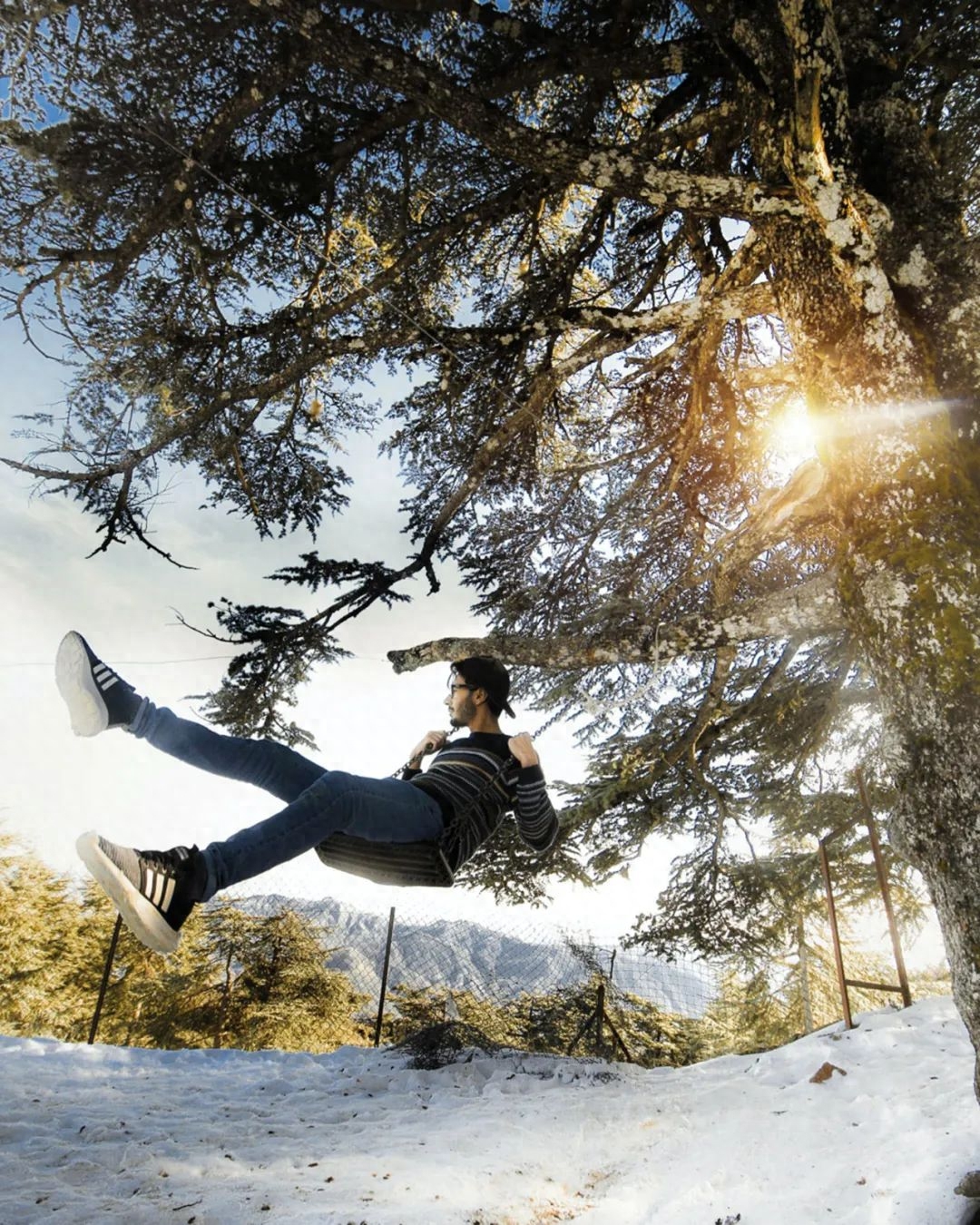 唯美景与秋千不可辜负，令人向往的秋千时光(图37)