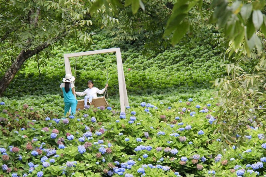 唯美景与秋千不可辜负，令人向往的秋千时光(图43)