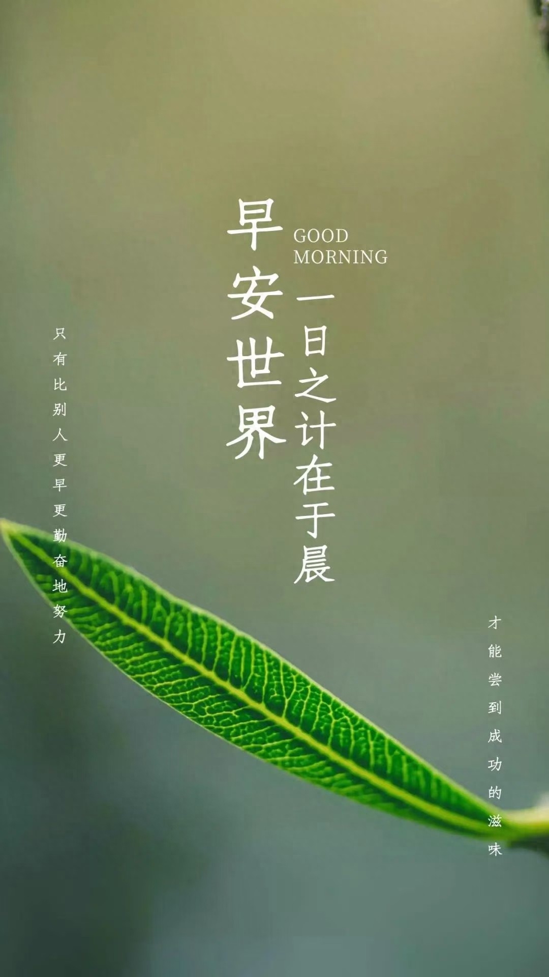 励志语录 追光逆行，向阳而生(图6)