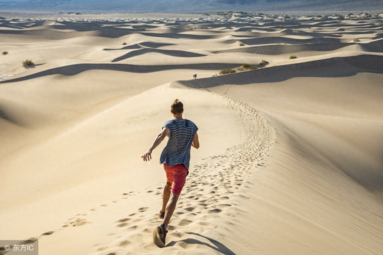 向阳而生的小句子：句句经典，获赞超高的说说！(图2)