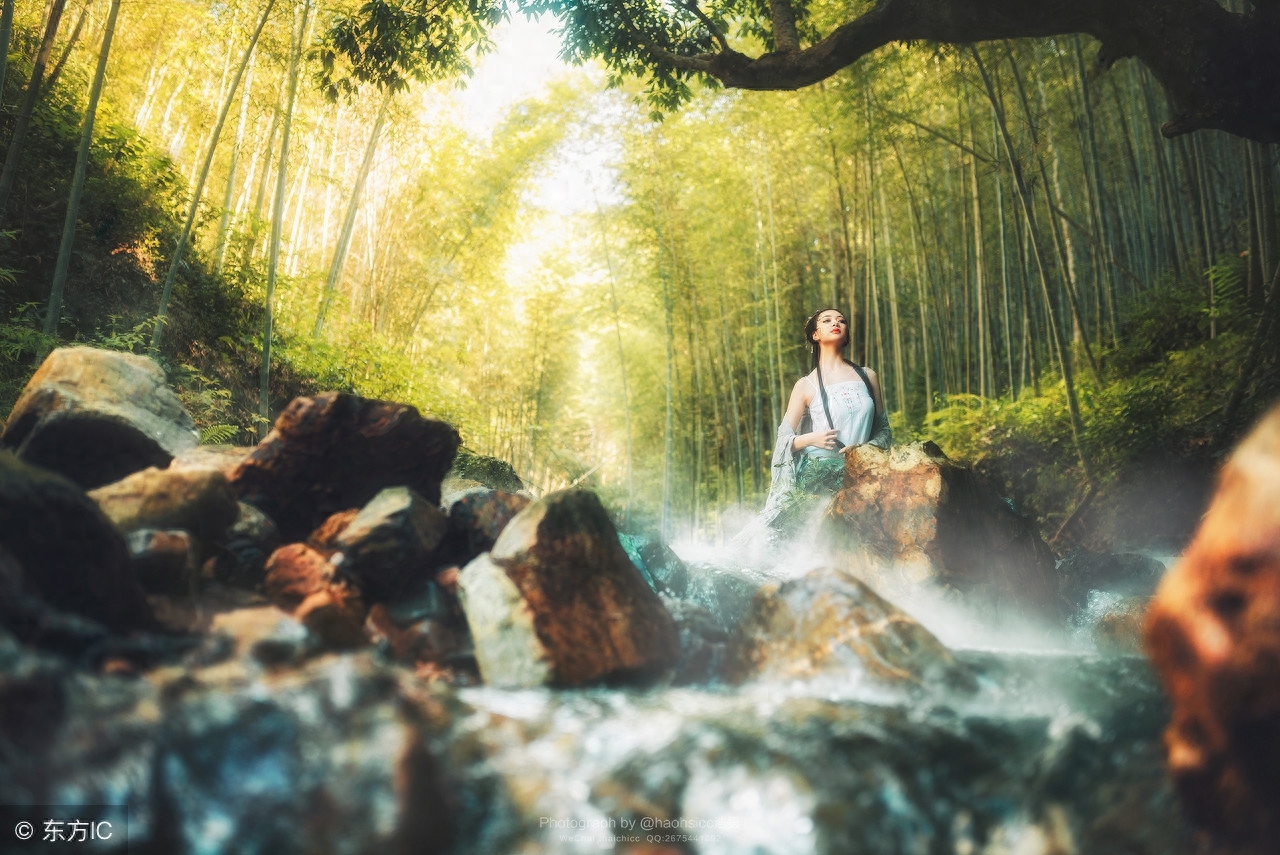 向阳而生的小句子：句句经典，获赞超高的说说！(图3)