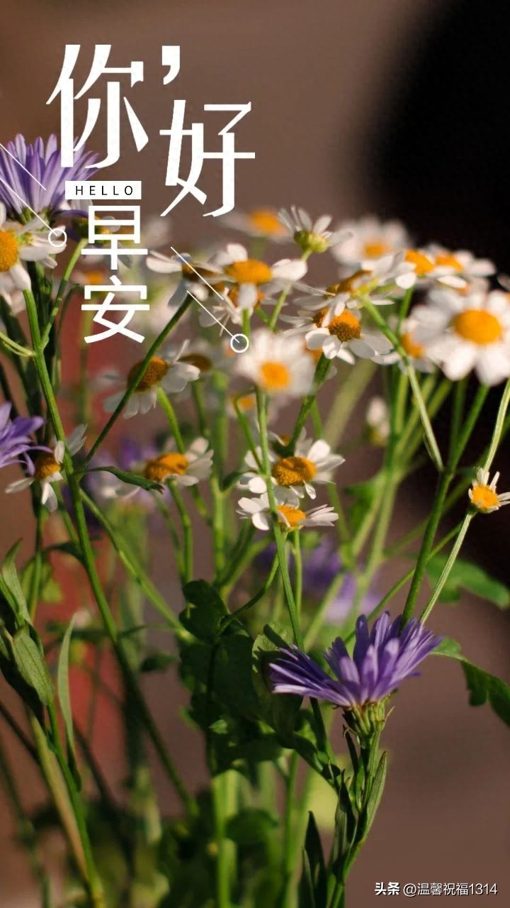 朋友圈励志早安心语，满满正能量的早安励志说说(图4)