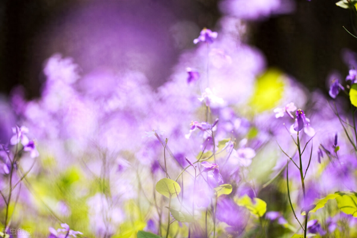 关于怀念过去的唯美句子（精选20句）(图3)