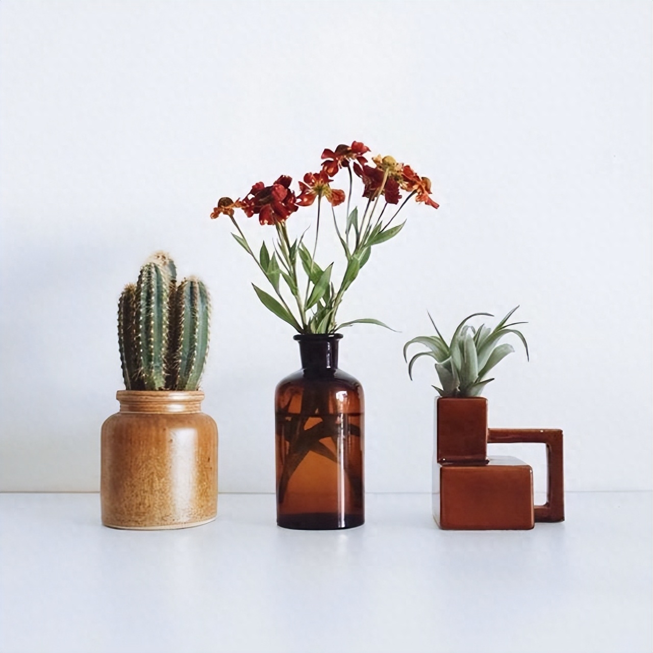 干净走心的早安说说，精致唯美，触动心灵(图4)