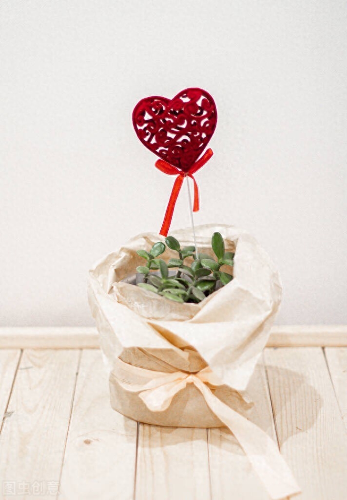 清晨温暖治愈的阳光短句，怡情养性，唯美入心(图3)