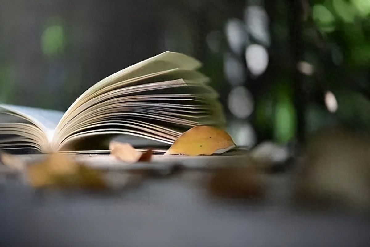 修文写作：培训班代表发言演讲稿(图2)