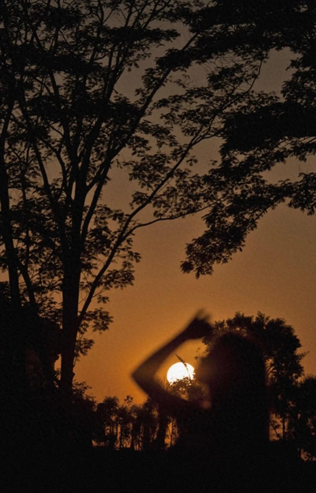 那些适合收藏的黄昏落日和唯美短句，哪一句惊艳了你(图1)