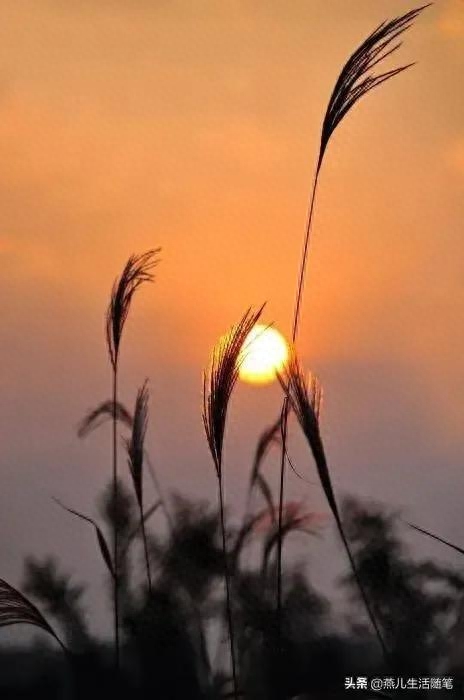 那些适合收藏的黄昏落日和唯美短句，哪一句惊艳了你(图3)