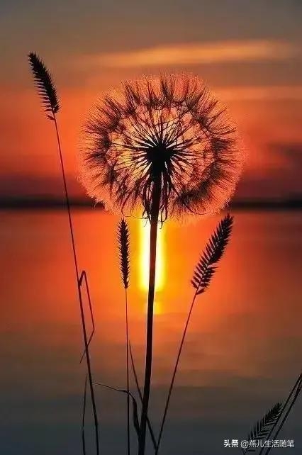 那些适合收藏的黄昏落日和唯美短句，哪一句惊艳了你(图5)