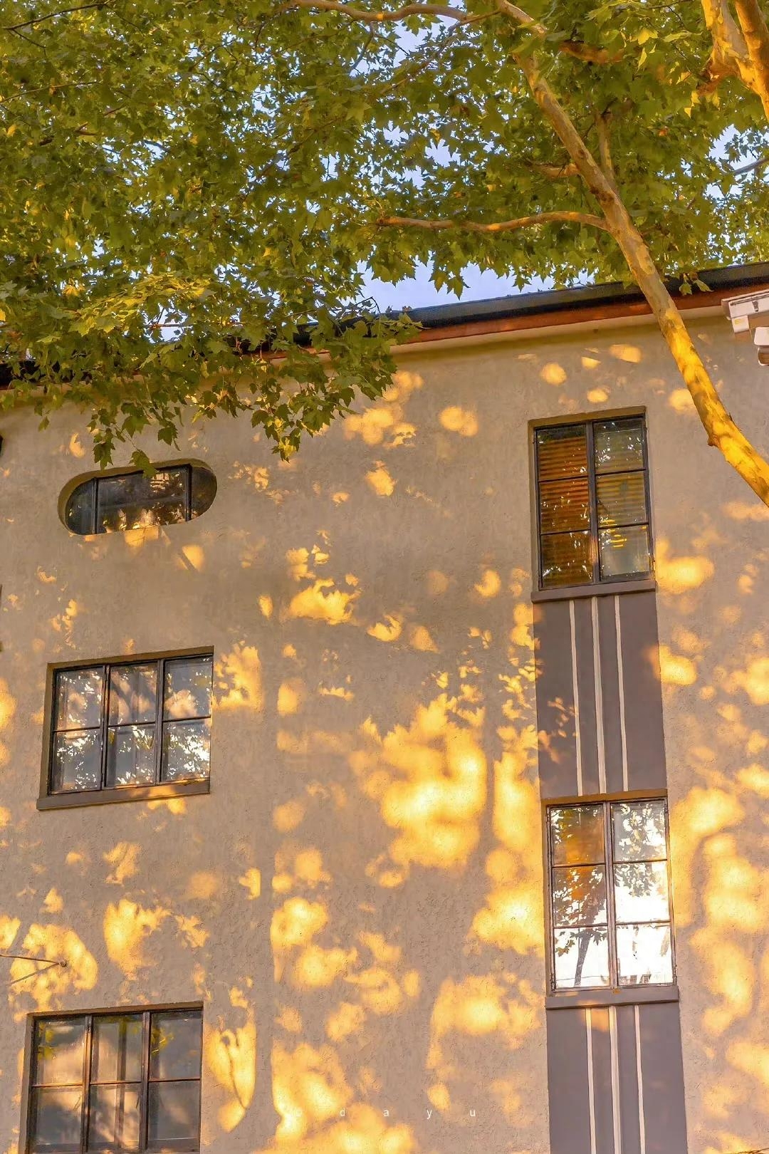 那些适合收藏的黄昏落日和唯美短句，哪一句惊艳了你(图8)