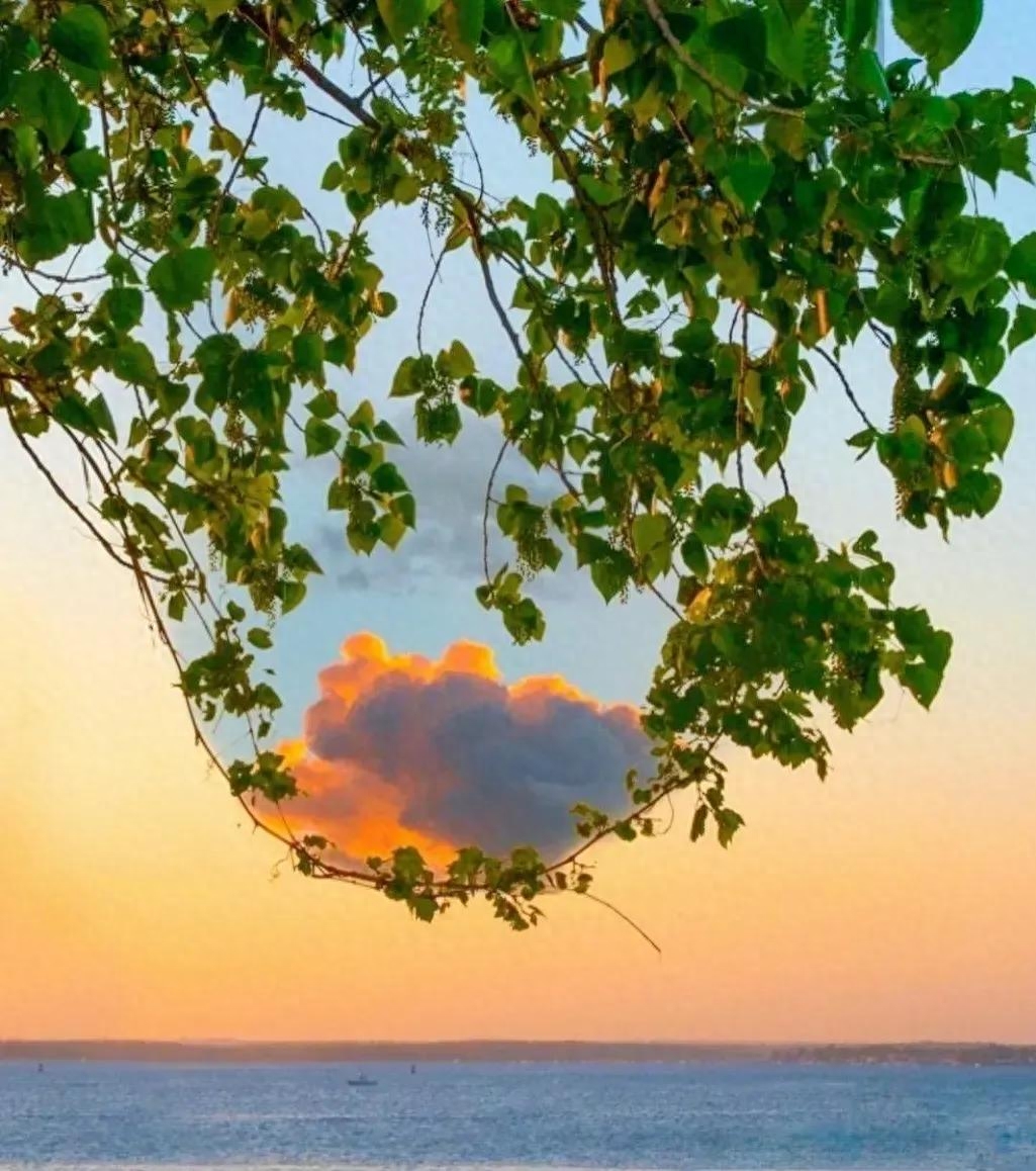 那些适合收藏的黄昏落日和唯美短句，哪一句惊艳了你(图9)