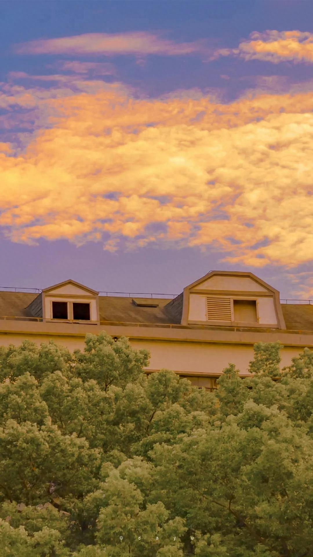 那些适合收藏的黄昏落日和唯美短句，哪一句惊艳了你(图10)