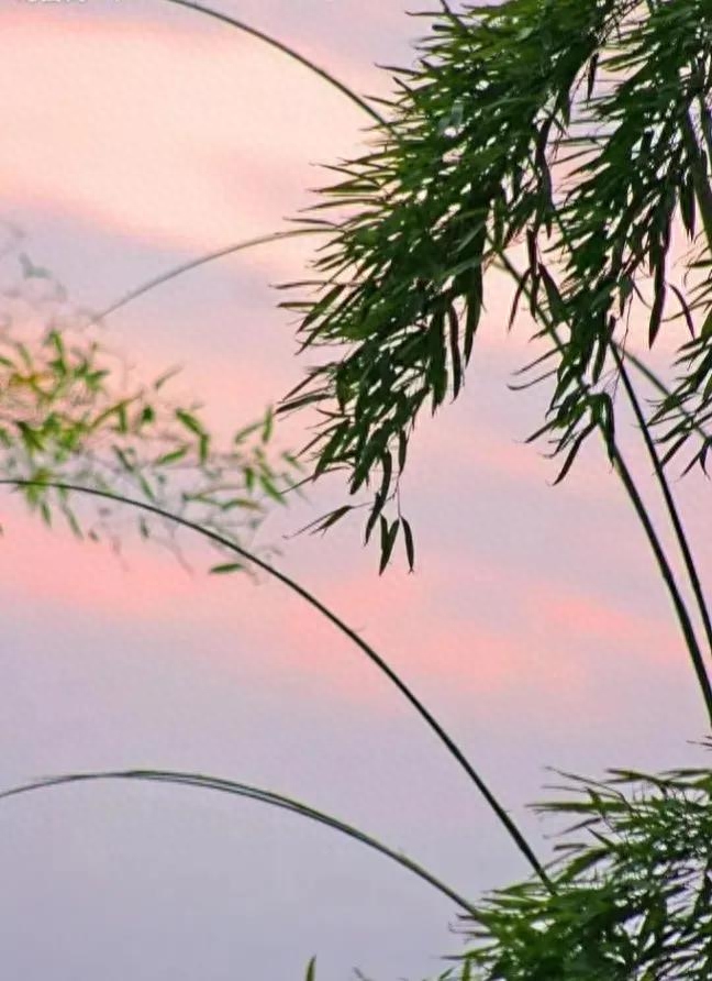 那些适合收藏的黄昏落日和唯美短句，哪一句惊艳了你(图11)