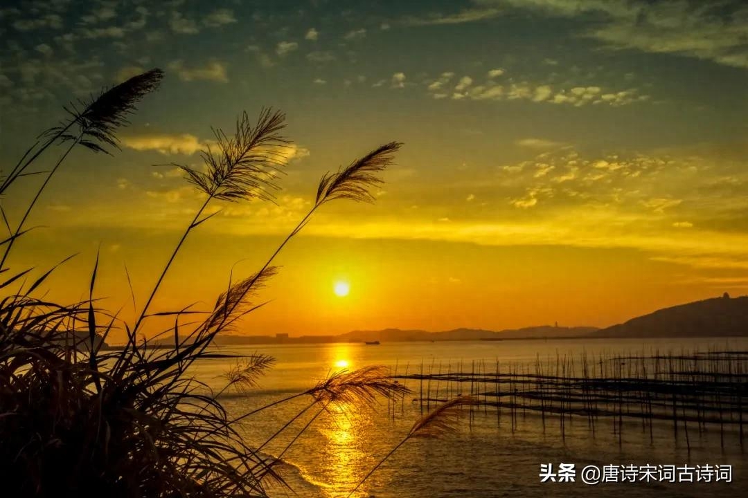 夕阳无限好，犹能灿长天(图3)