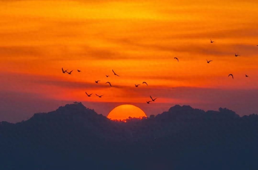 有关日落黄昏的唯美句子(图1)