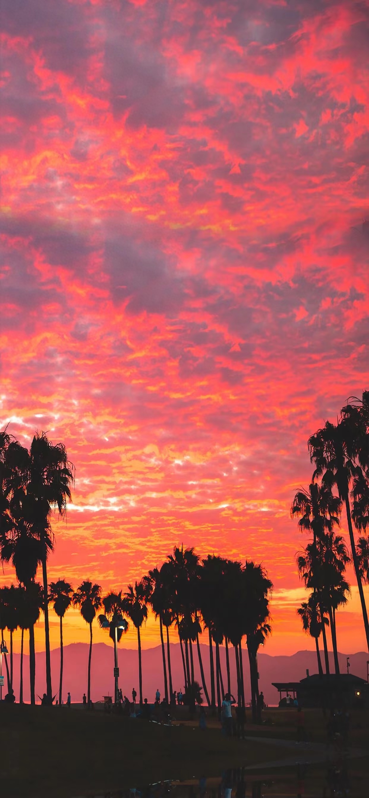 绝美黄昏日落简短文案｜远赴人间惊鸿宴，一睹人间盛世颜(图1)