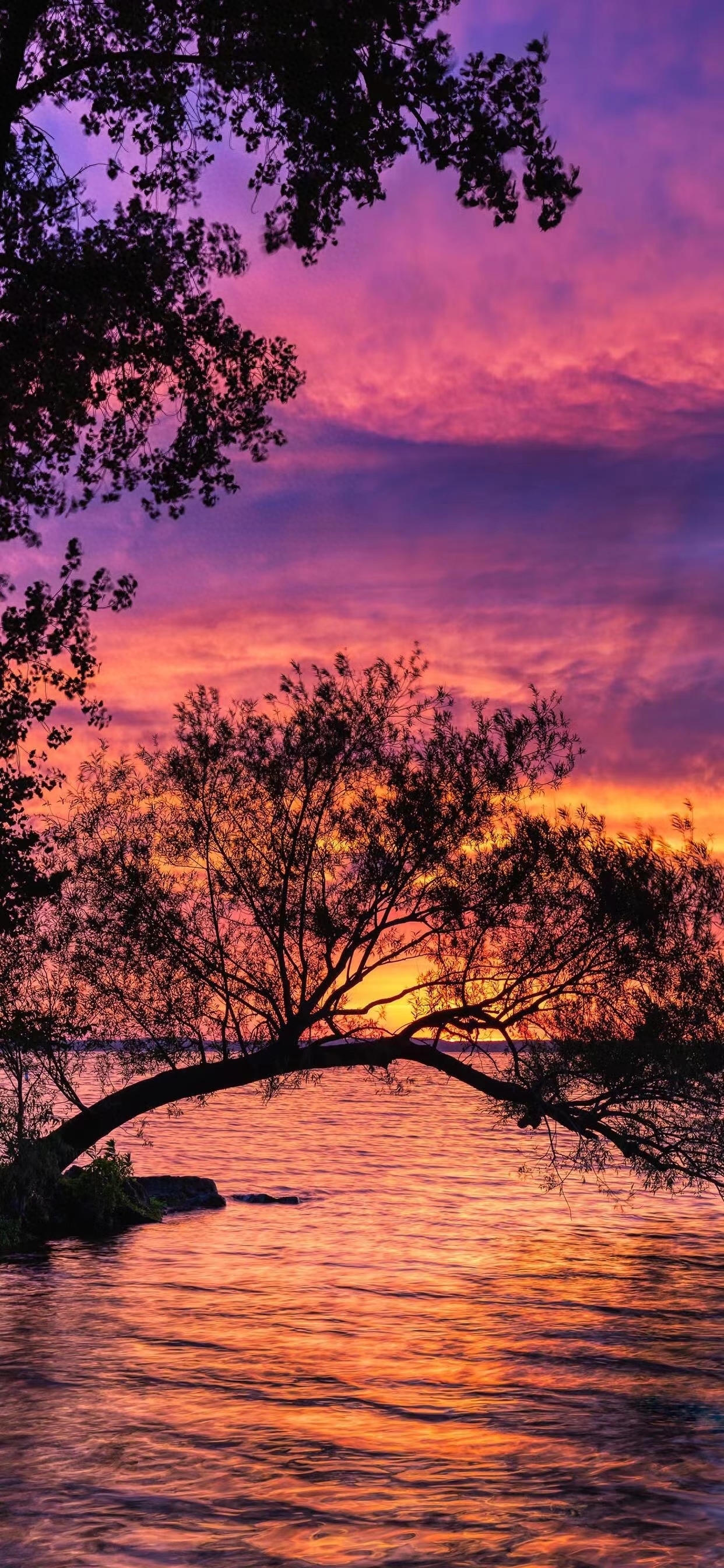 绝美黄昏日落简短文案｜远赴人间惊鸿宴，一睹人间盛世颜(图6)