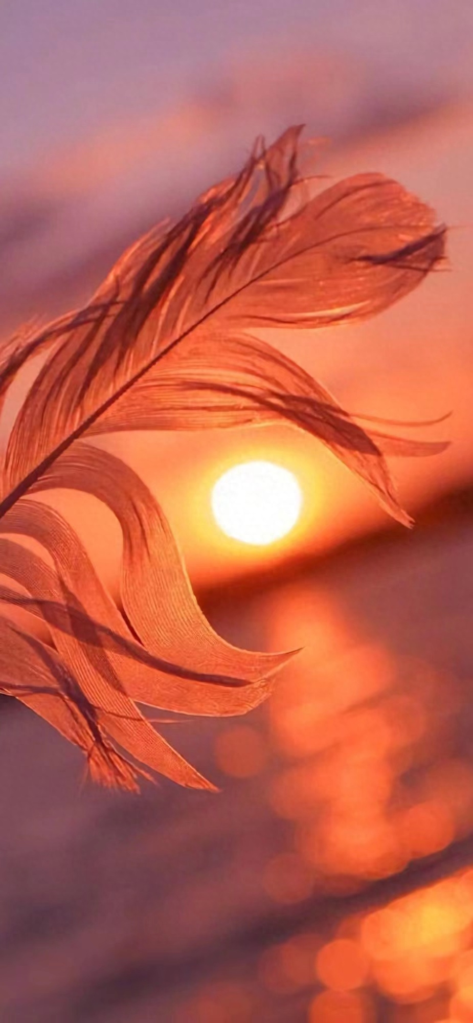 绝美黄昏日落简短文案｜远赴人间惊鸿宴，一睹人间盛世颜(图7)