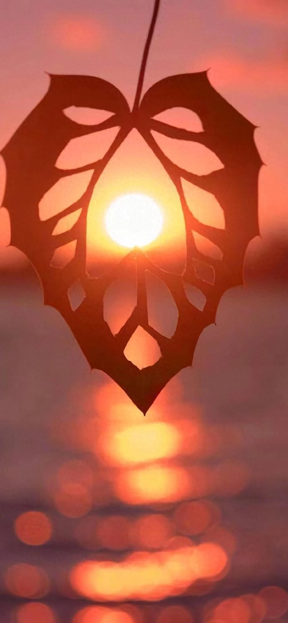 绝美黄昏日落简短文案｜远赴人间惊鸿宴，一睹人间盛世颜(图10)