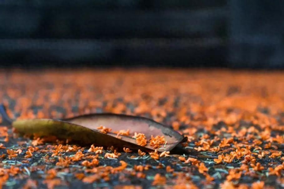 妻子生日，他不在家，于是寄去一首很暖的词(图1)