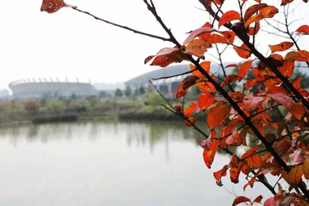 妻子生日，他不在家，于是寄去一首很暖的词(图2)