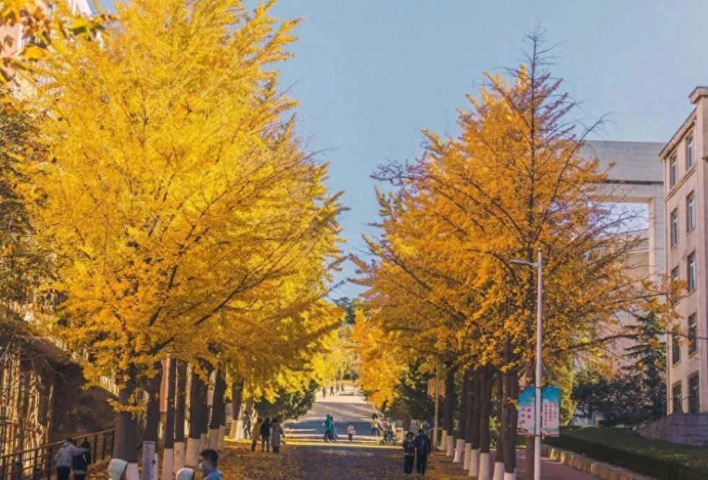 妻子生日，他不在家，于是寄去一首很暖的词(图3)