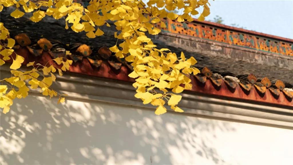 妻子生日，他不在家，于是寄去一首很暖的词(图4)