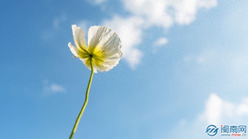 521发朋友圈的句子和图片 一句话高端秀恩爱抖音最火文案(图1)