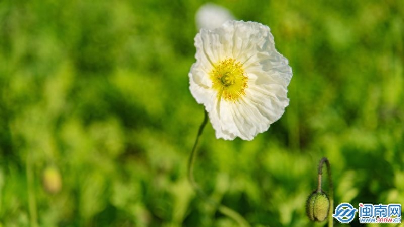 521发朋友圈的句子和图片 一句话高端秀恩爱抖音最火文案(图2)