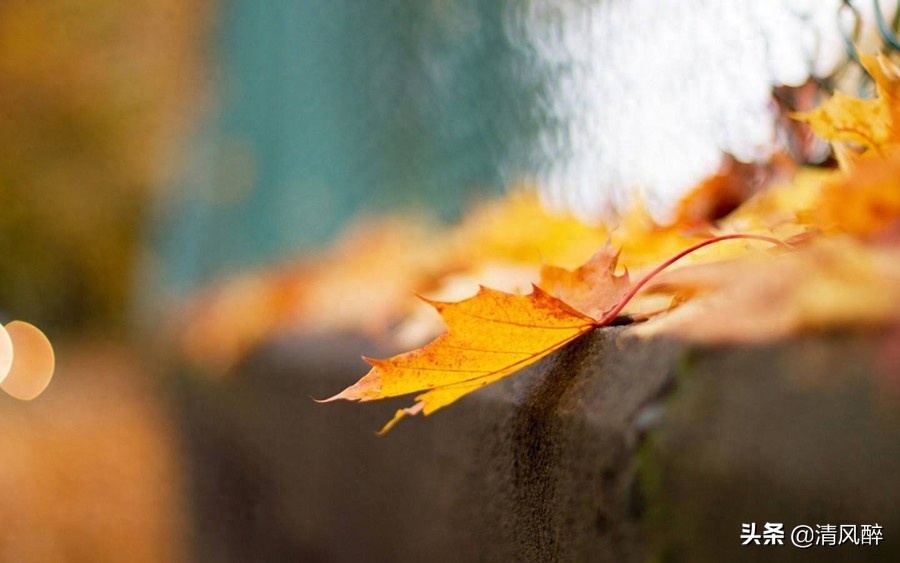 不油腻的秀恩爱短句(图2)