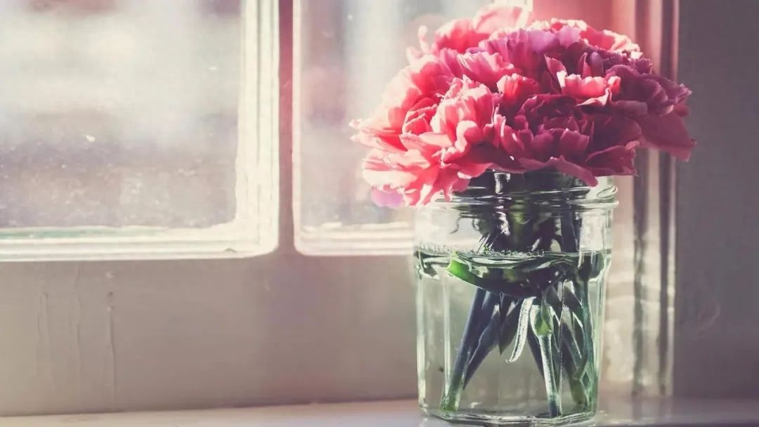 同学聚会经典句子70条经典语录大全(图2)